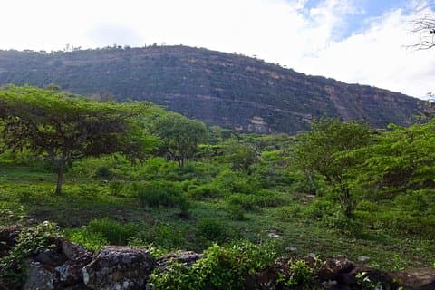Eco Walk: The Royal Road To Cabrera