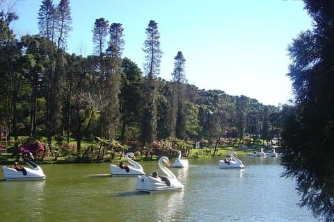 Tour Hortencias cinnamon Private lawn - 1-4 Pax by Fatur Turismo