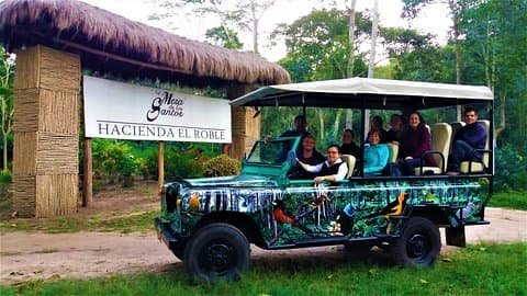 Private Tour - Coffee Tour (Cultivations)