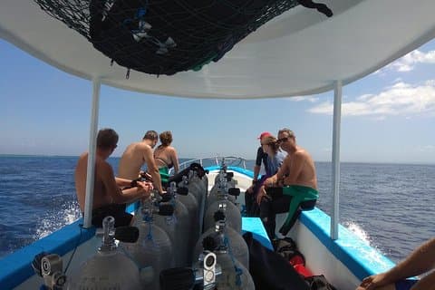 Menjangan island snorkeling full day boat trip