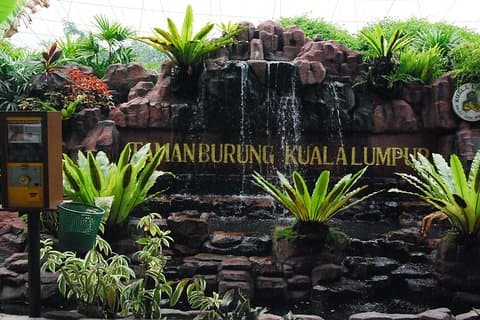 Kuala Lumpur Bird Park & Butterfly Farm Tour