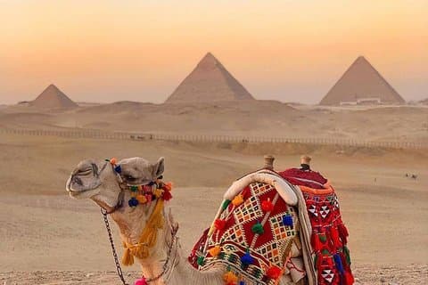 Giza Pyramids & Private Felucca on the Nile – VIP Experience