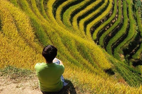 Longji Rice Terraces Day Tour from Yangshuo hotel