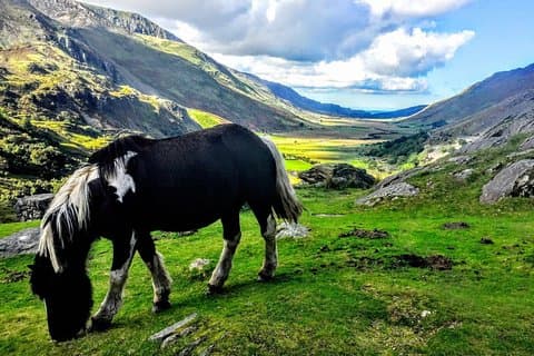 North Wales Sightseeing Adventure Day Trip from Manchester