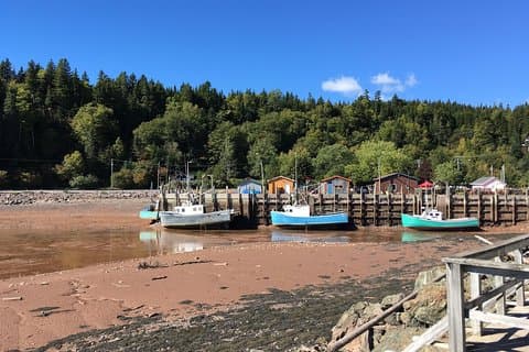 Shore Tours