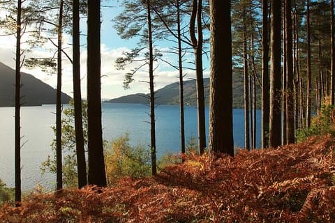 Loch Lomond & Whisky Tour from Glasgow Including Admissions
