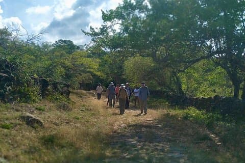 Eco Hike: The Royal Road: Jordan - Los Santos
