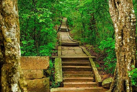 Ritigala Strict Natural Reserve & Minneriya National Park Safari Day Excursion