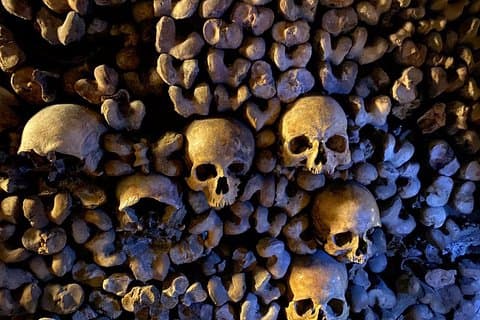 Paris Catacombs Semi-Private Max 6 People Guided Tour