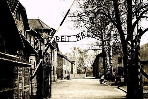 Auschwitz Birkenau Guided Tour from Krakow with Tickets Included