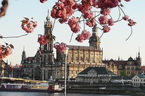 Historic Dresden Private Walking Tour