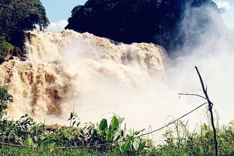 4 days Zongo falls, Bonobos and Kinshasa city experience