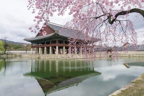 Seoul Highlights & Hidden Gems – Private Tour with Photo Service