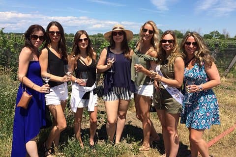 Wine & Cheese Half Day Tour - Niagara On The Lake Wine Tour