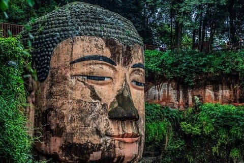 Chengdu One Day Trip from Xiamen by Air: Leshan Giant Buddha, Pandas and More