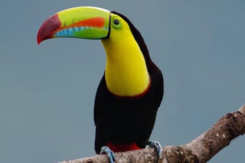 Hiking to Curi-Cancha Reserve