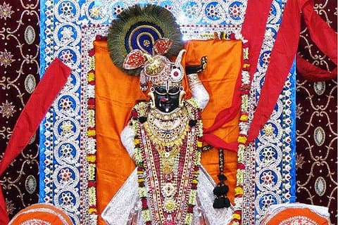 Ekling ji And Nagda (Sahasrabahu Temple) Day Trip