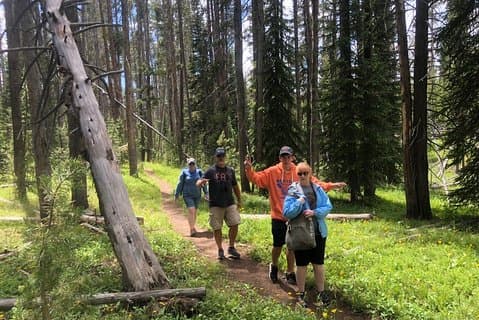 Private Hidden Gems of Yellowstone! Lunch w/ family friendly hikes included!