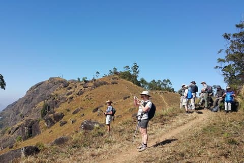 Trekking in Munnar