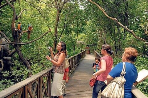 Historical Park of Guayaquil : Culture, Nature and Architecture
