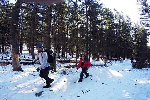 Bogd Khan Mountain Hiking Excursion - Private Day Trip