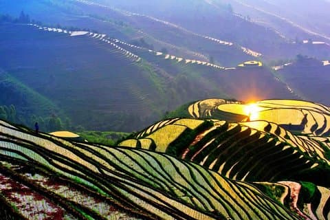 Longji Rice Terraces Field Private Full Day Tour