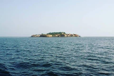Gorée Island and Pink Lake Day