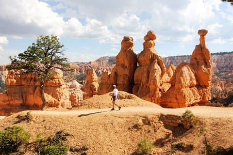 Vegas: Bryce & Zion Luxury Boutique Scenic Tour with Lunch, WiFi