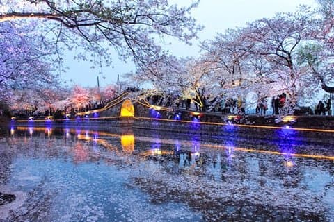 Wuxi Self-Guided Tour from Suzhou by Private Car