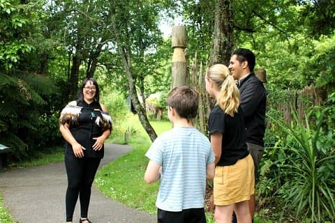 Buried Village of Te Wairoa
