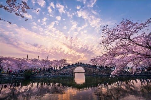 Wuxi Private Flexible Day Tour from Shanghai by Bullet Train