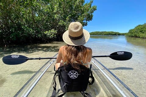 Clear Kayak Tour of Shell Key Preserve and Tampa Bay Area