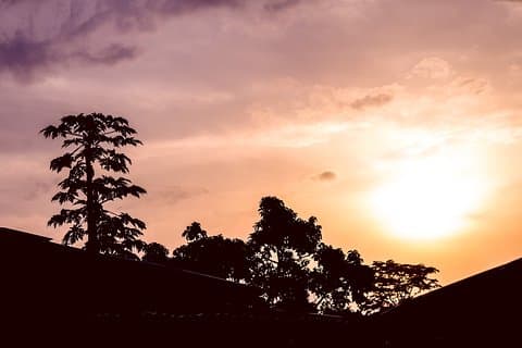 Azobe East Adventure Safari 13D/12N