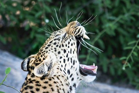 Maputo Special Reserve 3 Days/ 2 Nights