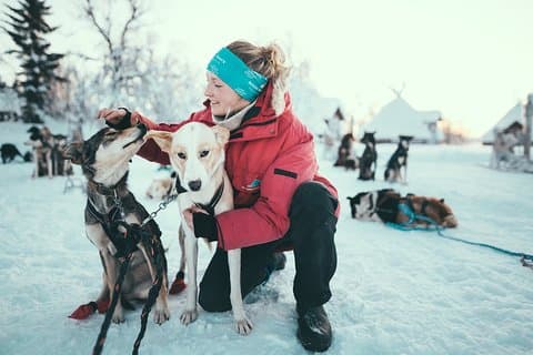Tromso Self-Drive Husky Dog Sledding