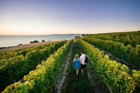 Private Marlborough Winery Tour