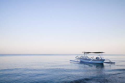 Lovina Dolphin Watching, Snorkeling and Waterfall Tour in Bali