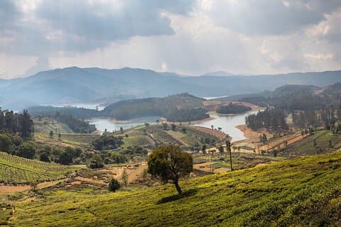 Day Trip to Coonoor (Guided Sightseeing Tour by Car from Ooty)