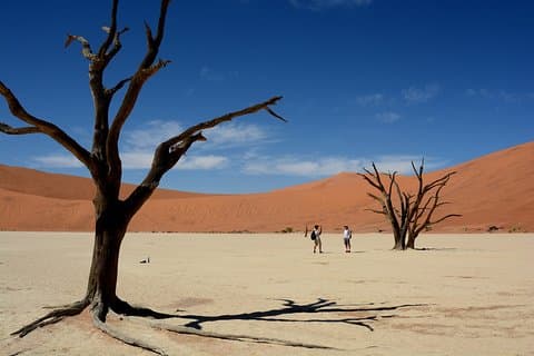 9 Day Etosha, Skeleton Coast & Sossusvlei Camping & Lodge Safari
