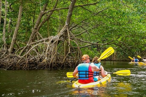 Private Kayaking Nature Tour of Los Haitises National Park