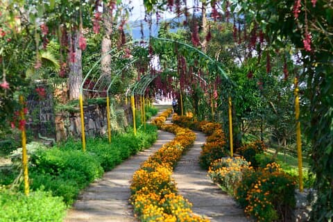 Day Trip to Mawlynnong (Guided Private Sightseeing Experience from Shillong)