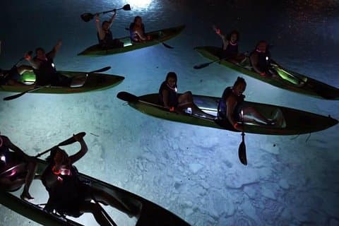 Night Kayak Tour St. John - Westin Resort
