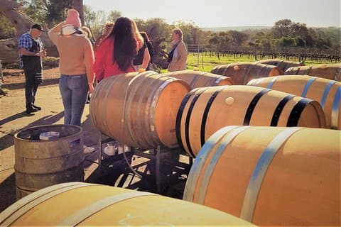 Secret Delights: Small-Group Curated Wine, Coffee, Lunch & Forest