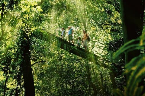 Lamington National Park, O'Reilly's & Vineyard Tour