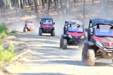 2 people buggy safari half day beach and forest drive