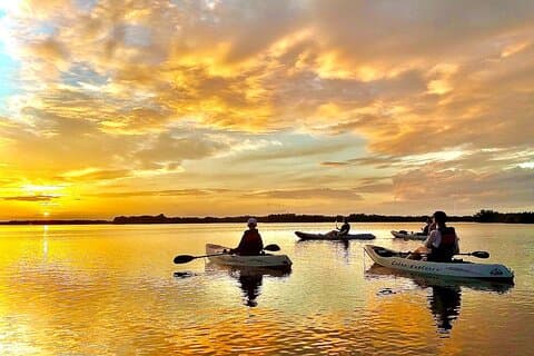 Sunset Tour Mangrove, Dolphins, Manatee #1 Rated in Cocoa Beach
