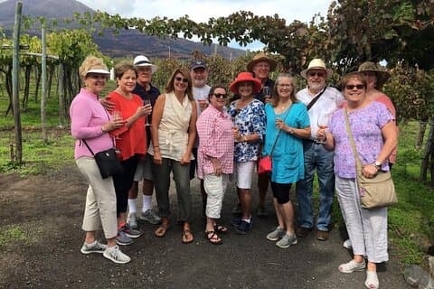Pompeii, Herculaneum and Winery on Vesuvius with an Archaeologist