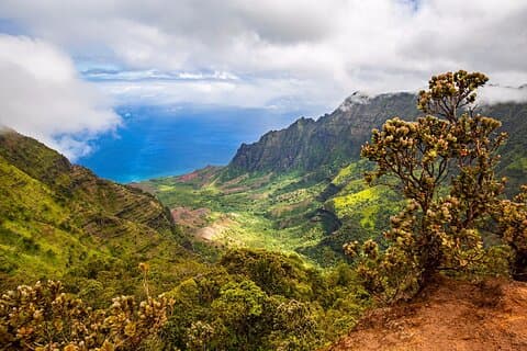 Waimea Canyon Private Tour with Local Guide from Kauai