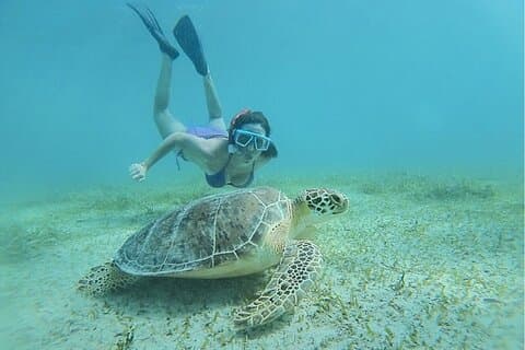 Snorkeling Tour to Vieques Island only 30 minutes away!