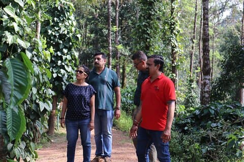 Mercara Gold Coorg Coffee and Spice Estate Tour